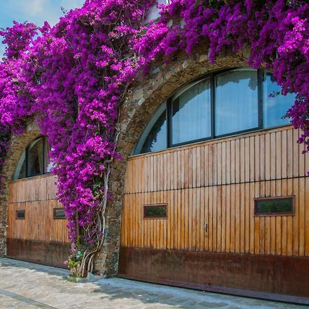 Villa Eliodora - Due Appartamenti Arenzano Exterior foto